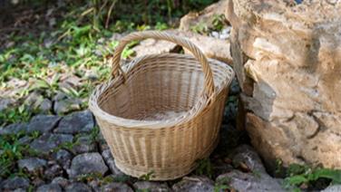 Image for: VANNERIE : RÉALISATION D'UN PANIER OVALE NIV 2