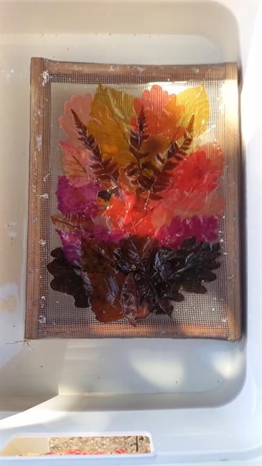 Image for: PAPIER VÉGÉTAL : DECOUVERTE